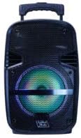 Top Tech Audio Spike-8 Bluetooth Portable Speaker, 8-Inch Woofer, LED Lights & Disco Ball, 5-Hour Battery, USB Drive, SD Card, FM Radio, Karaoke Speaker, Wired Microphone & Guitar Inputs