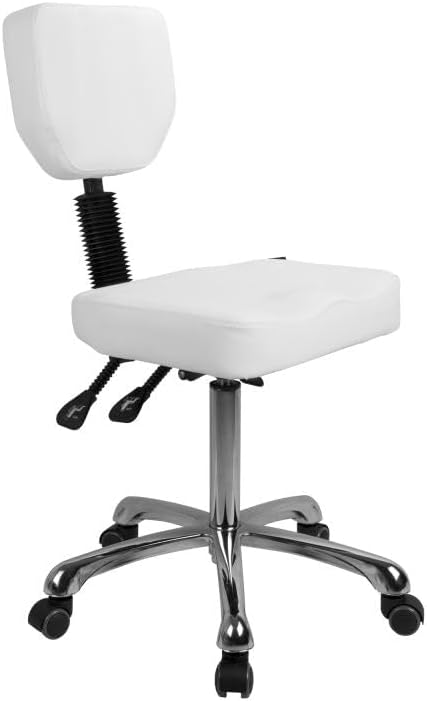 GreenLife Silverfox Rolling Stool with Backrest 1030