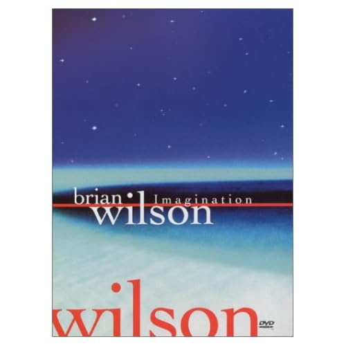 Brian Wilson - Imagination