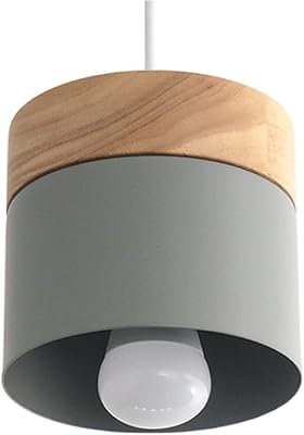THAELY Round Metal Pendant Light Shade Bedroom Pendant Lamp Nordic Loft Lampshade Modern E27 Hanging Lamp Single Head Chandelier for Kitchen Coffee Shop Dining Bar