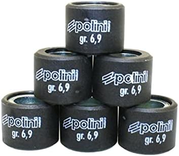 Polini Roller Weights compatible with Ruckus