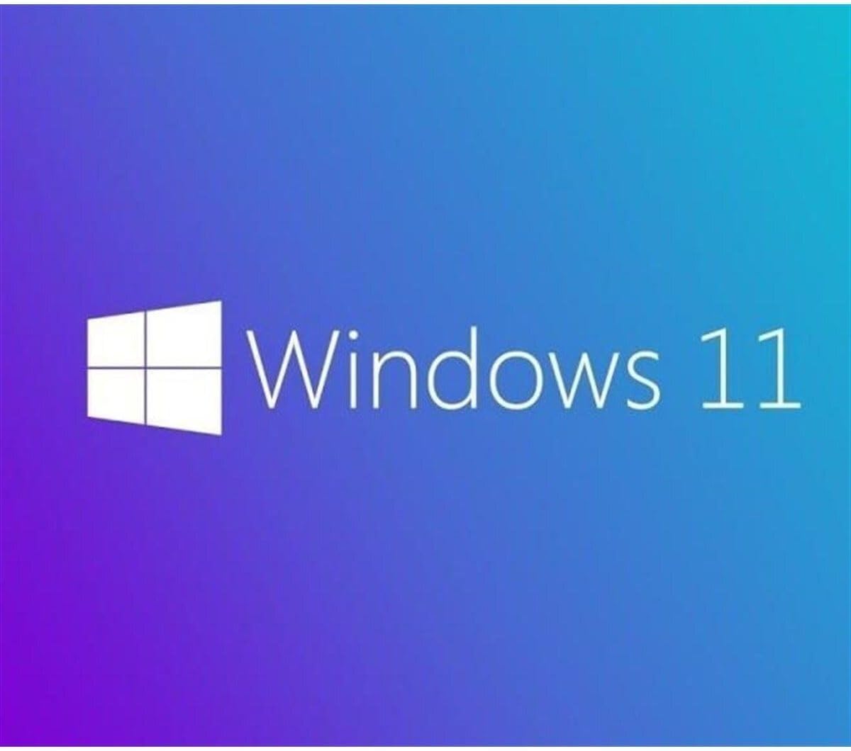 Microsoft Ms Wındows 11 Pro 64 Bıt Turkce Oem Fqc-10556