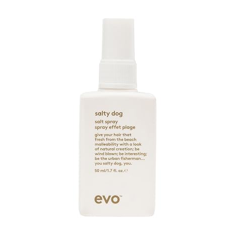 EVO Salty Dog Salt Spray - Hair Texture & Volume Spray - Beach Textured Hair, Natural Matte Finish
