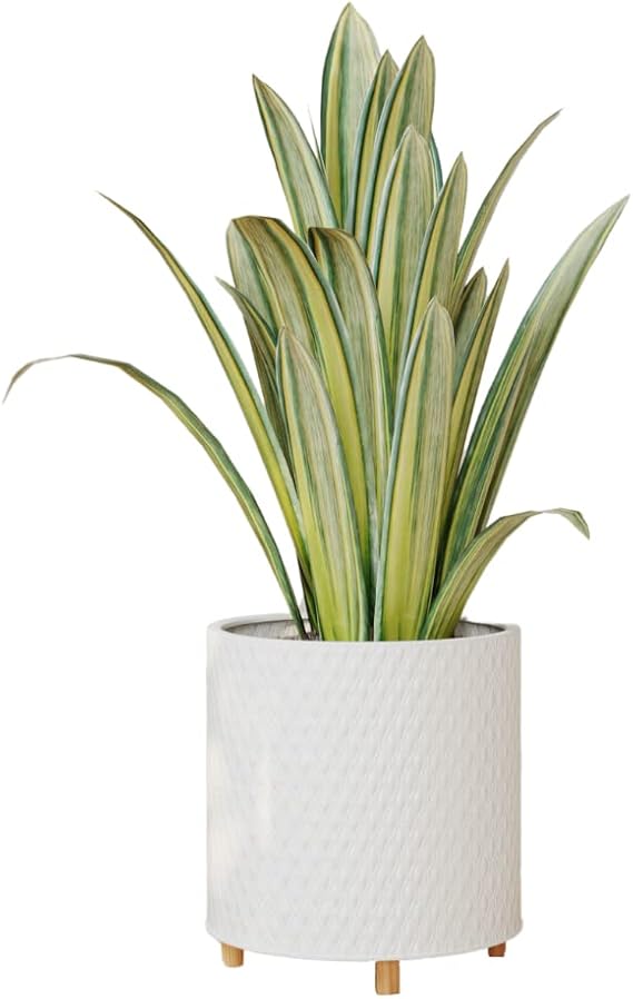 EverNest Claire Modern Indoor Plant Pot with Stand, White Pattern, 12 Inch, SelectBase, Neutral Mid-Century Modern Style, Metal Home Decor Planter