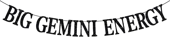 Big Gemini Energy Banner, Gemini Season/Gemini Baddie/Gemini Birthday Decor, 12 Zodiac Constellations Birthday Themed Party Decorations (Black Glitter)