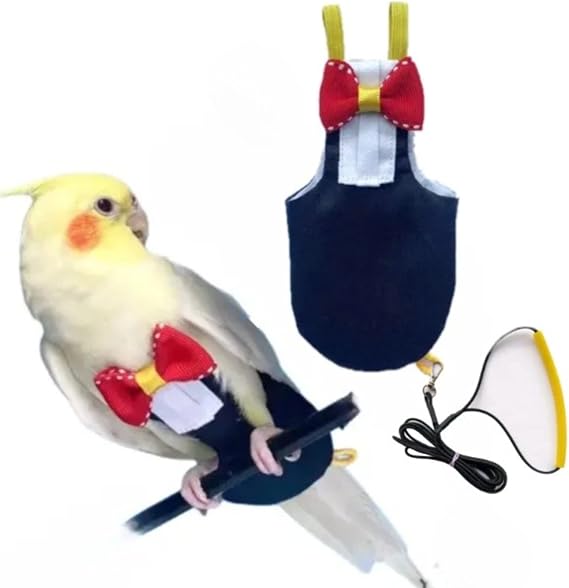 Bird Diaper Harness Flight Suit Clothes with Flying Leash for Parrots Cockatiel Pet Birds, Parrot Clothes, Bird Training Nappy Suit Liners Clothes (S, Black)