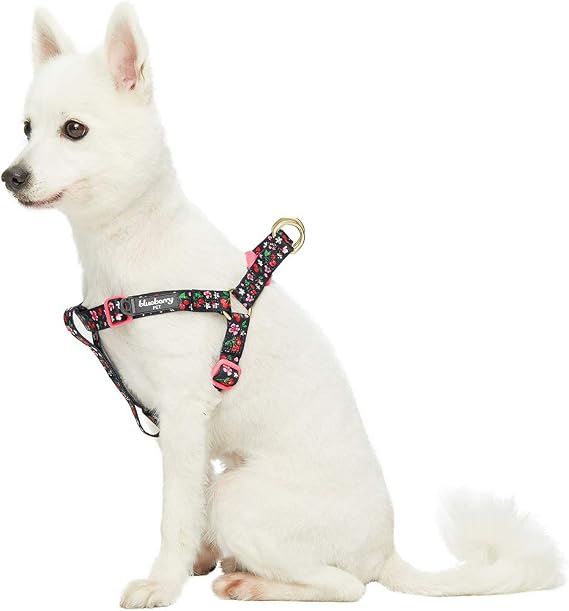 Blueberry Pet 9 Patterns Step-in Cherry Garden Black Dog Harness, Chest Girth 16.5" - 21.5", Small, Adjustable Harnesses for Dogs