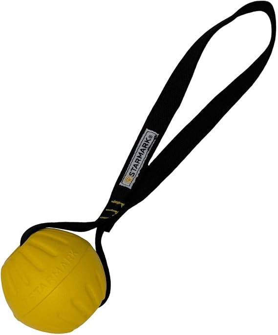 Starmark GripCord DuraFoam Ball on Loop Medium Dogs 2.5-in