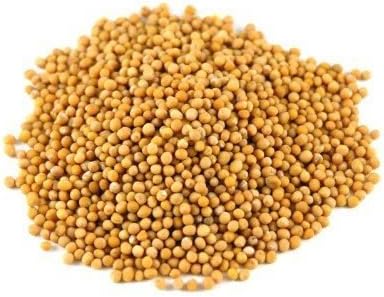 JALPUR MILLERS Yellow Mustard Seeds–whole spice with Mild Heat & Tangy Flavour–Whole Mustard Seeds for Cooking, Pickling, seasoning and Homemade Mustard –Natural Immunity Booster super Spice-500g
