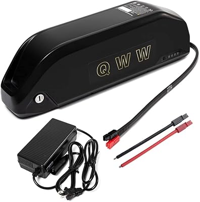 QWW 48V17AH30amp Built-in Safety Bracket Battery,More Stable,200-1400W