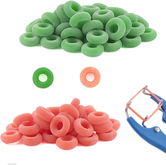 200 Pcs 0.23" Latex Castration Bands Castration Rings, Castrating Bander Tool for Animals Livestock Pig Cow Goats(100 Green, 100 Orange)