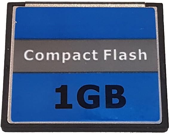 EPPS 1GB CompactFlash Memory Card for CASIO QV-5500SX DIGITAL CAMERA