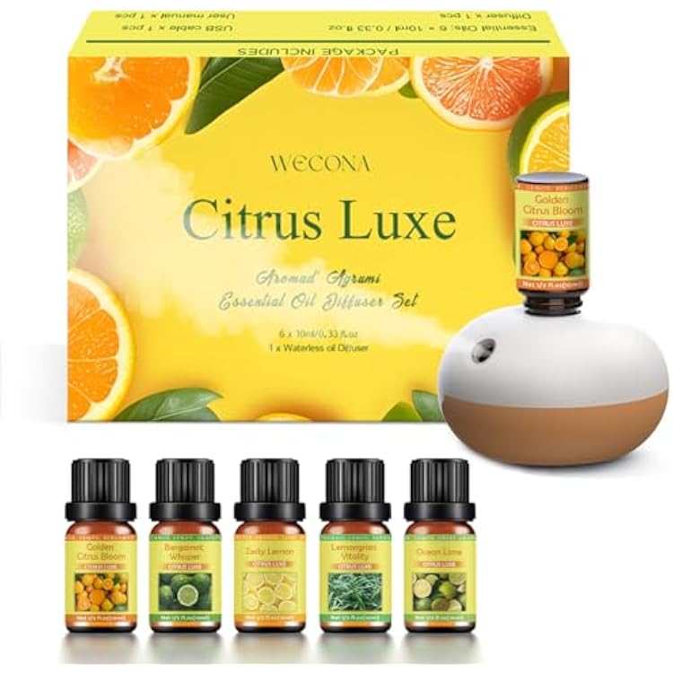 Rechargeable Waterless Oil Diffuser - 2 Mist Modes Essential Oil Diffusers with 6 Essential Oils10ml for Home,Car,Office - Scent Diffuser Starter Kit