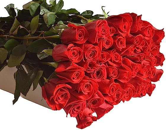 KaBloom-48 Red Rose Bouquet, Flowers for Valentine, Mother's Day