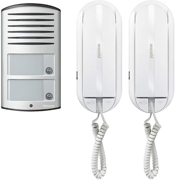 BTicino 366821 2-Wire Video Intercom Kit bi-famille