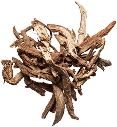 Dipsacus Root Xu Duan Dipsacus Asper Chinese Herb Plum Dragon Herbs (1 Oz)