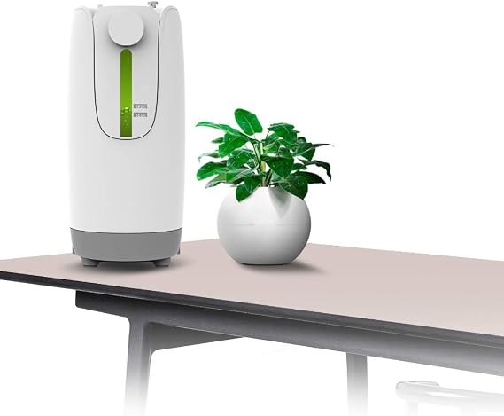Oxygen Generator: Portable oxygen generator for home use, can be used by elderly and pregnant women