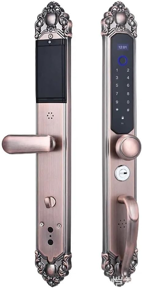Villa Smart Fingerprint Door Lock Security Door Lock Password Keyess Entry Double- Folio Door Lock
