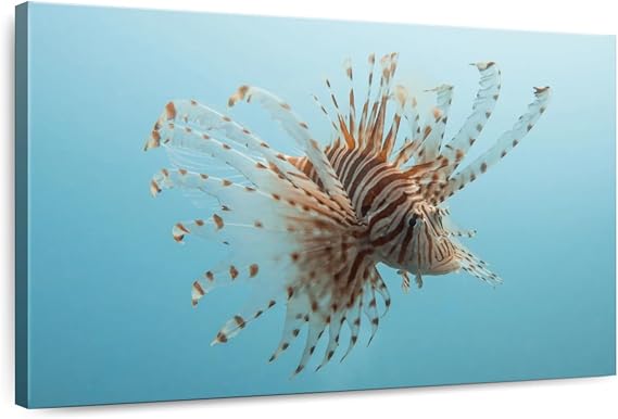 ElephantStock - Underwater Lionfish Figure Wall Art - Horizontal Canvas Wall Art - Living Room Wall Decor - Photography Animal Canvas Art - Beige And Blue Decor - 51" x 34"