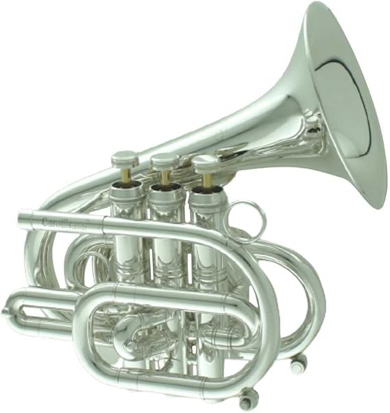 Professional Bb Up-turn bell "Dizzy" Pocket trumpet CPT-7000-GLS-Bright Silver plated