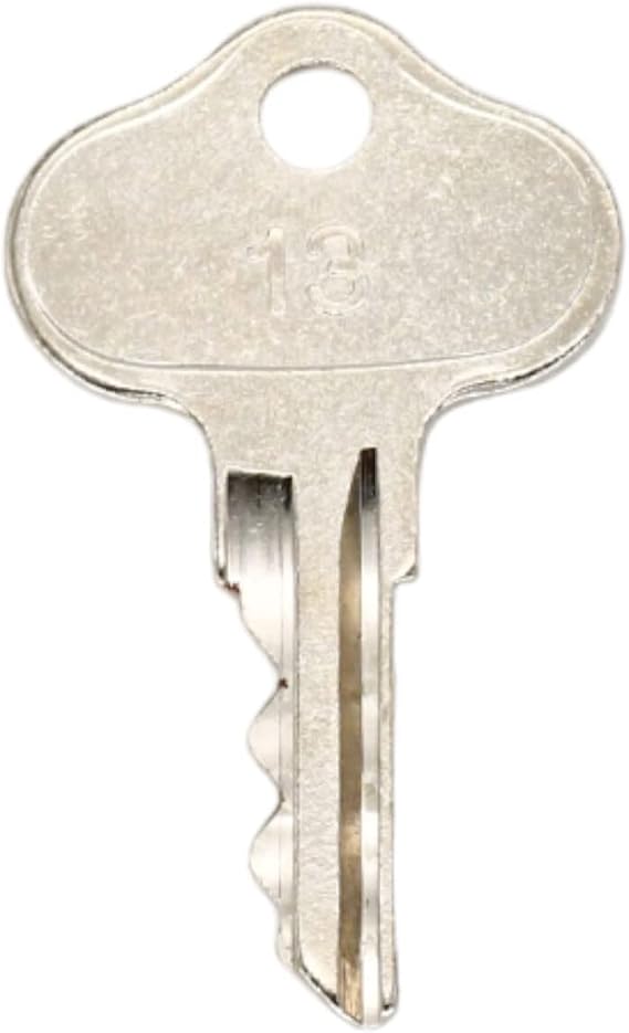 Ignition Key Compatible with Case 2022 2044 2055 715 782 815 915 95 100 1086 130 140 1486 154 Compatible with International/IH Farmall Tractors 706 756 766 784 786 806 826 131313C1