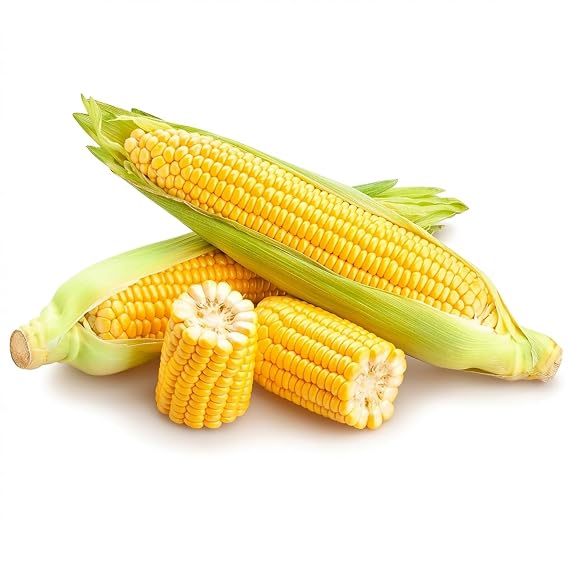 Authentic Maiz Criollo Cubano (5 lb) - Fresh Cuban Field Corn Mazorca | Traditional White Corn for Tamales, Ajiaco, Latin Cuisine | Premium Quality