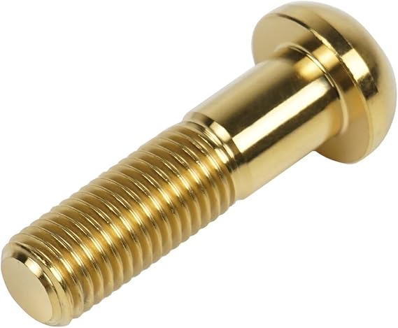 Motorcycle Screws Compatible With YA&MAHA For Raptor YFM 700 2013-19 YXZ 1000R SE SS Sport Shift 2017 NICECNC ATV Brake Caliper Mounting Bolt Screws Titanium Alloy (Color : Onecolor)
