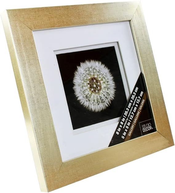 Studio Decor Champagne Gallery Frame with Double Mat, 8 Pack