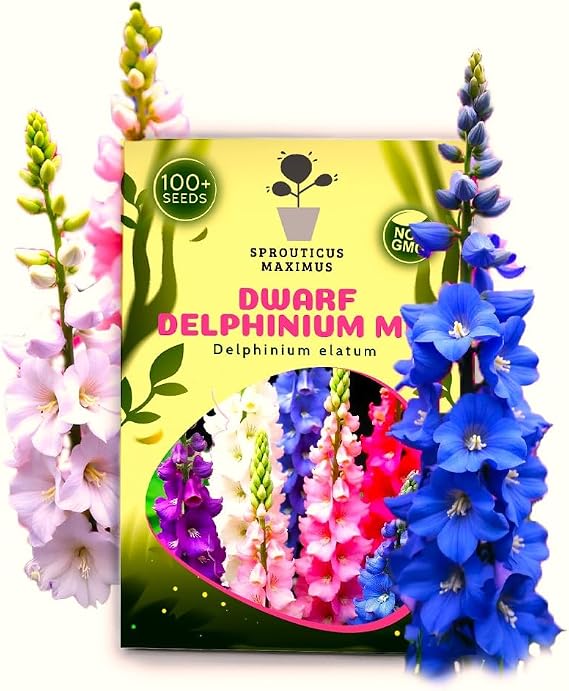 Seeds Dwarf Delphinium Mix Multicolor 100+ Seeds to Grow Low Height Spike-Like Perennial Flowers Larkspur Spring of Fall Planting