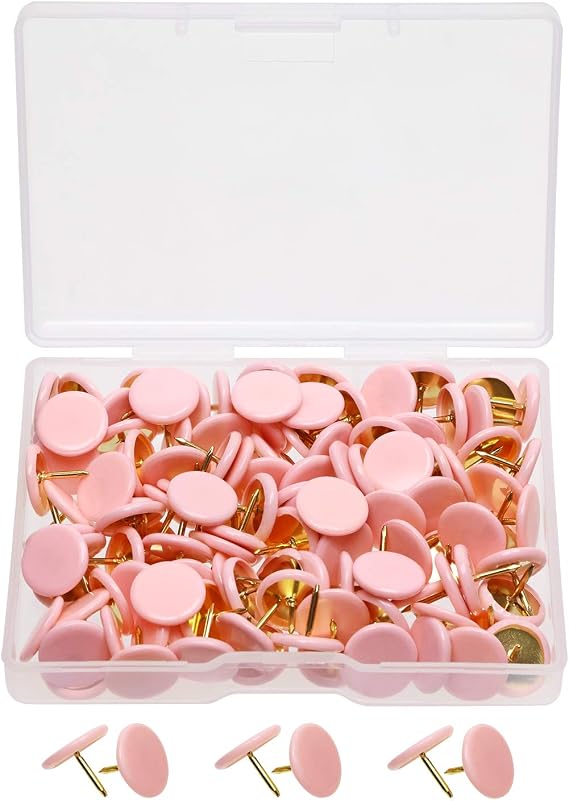 Tupalizy 120PCS Flat Plastic Round Head Map Thumb Tacks Push Pins with Steel for Hanging Art Picture Tapestry Wood Bulletin Cork Board Wall Cubicle and DIY Craft Home School Office Use (Light Pink)