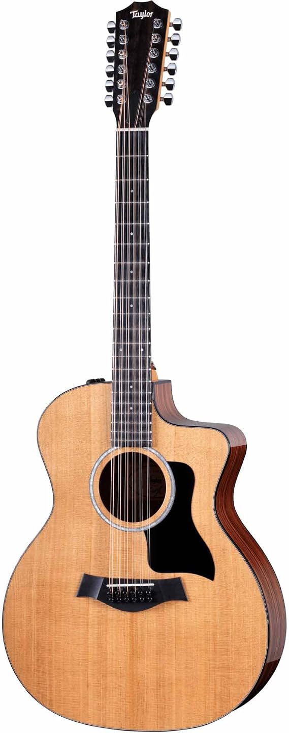 Taylor 254ce Plus 12-string Acoustic-electric Guitar