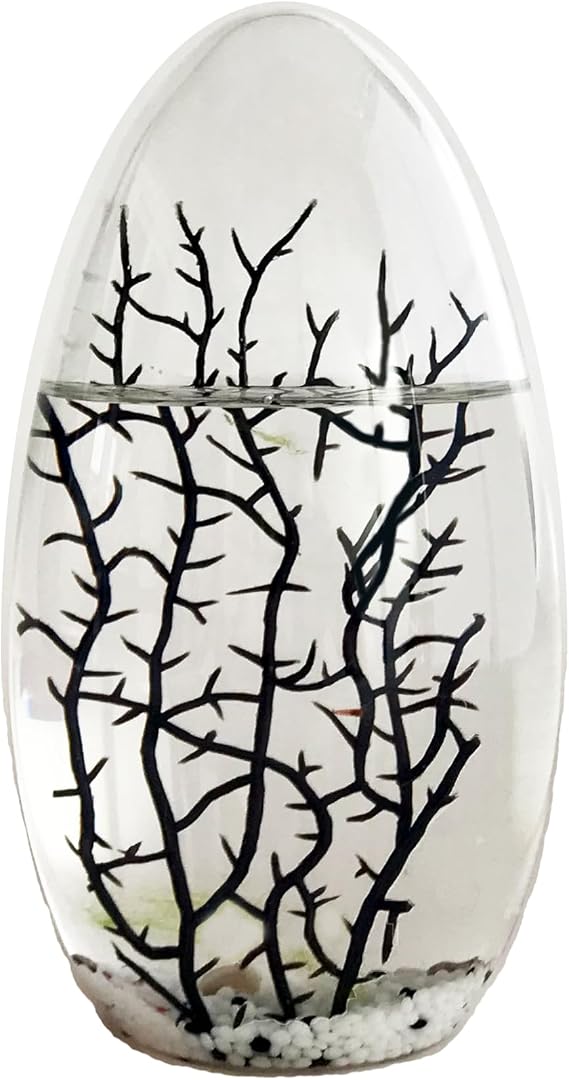 Eccosmo- Closed Ecosystem, Large Oval 7.5"