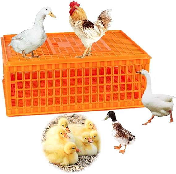 Poultry Carrier Crate Plastic Chicken Transport Cage Transport Bird Cages Poultry Chicken/Duck/Goose Carrier Basket for 10-12 Adult Chickens L29XW21XH12inch