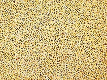 5 Pounds of White Millet