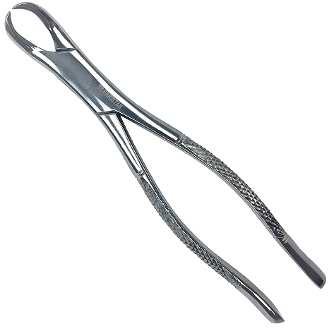 Heavy Duty Dental Extracting Forcep # 23 Cowhorn Forcep, Lower Molars, Atraumair