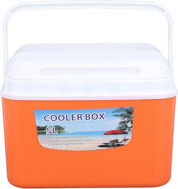 5L Insulated Cooler Box, Portable Hard Ice Chest with Handle, Lightweight Food Storage Container for Camping Car Travel