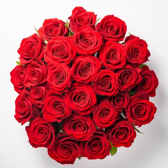 GlobalRose 24 Red Roses Bouquet - Responsibly Sourced Roses Fresh Flowers - Hand-Picked Flowers Fresh Bouquet for Graduation, Anniversary, Birthday & Special Occasions (2 Dozen)