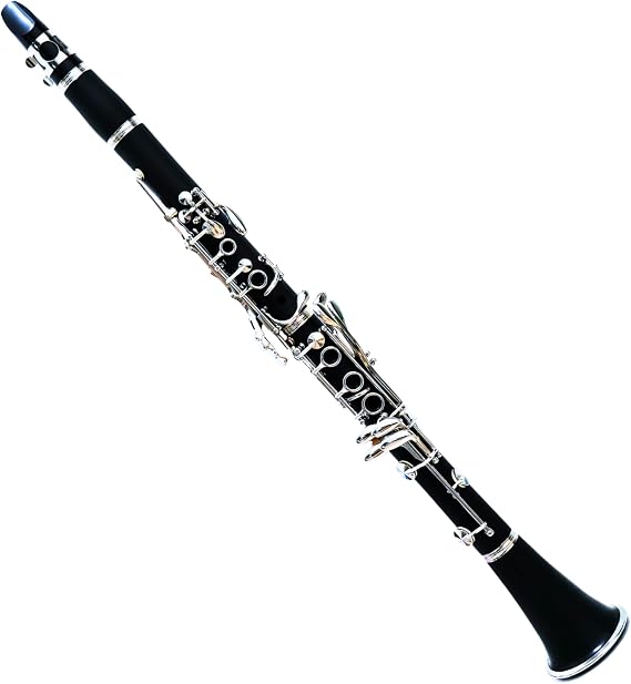 Deloitte Bb Clarinet, ABS, Nickel Plated, DCL-225, Professional Clarinet for Beginner, with Hand Case Bag and Cleaning Kit