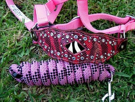 CHALLENGER Horse Noseband Tack Bronc Leather Nylon Halter Tiedown Lead Rope Tack 28024
