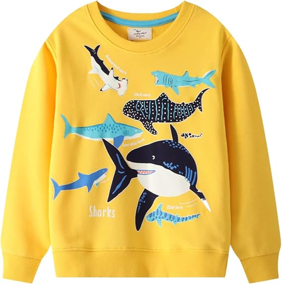 Akyzic Toddler Boys Sweatshirts Cotton Crewneck Truck Shirt Dinosaur Long Sleeve Pullover Tops Tees 2-8T