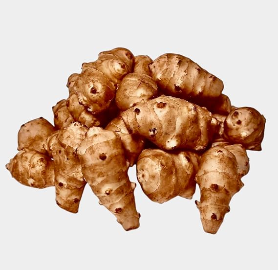 Kejora Fresh Jerusalem Artichokes (Sunchokes or Sunroot) for Planting or Eating - 4 pounds Ship FedEx 2nd Day Air