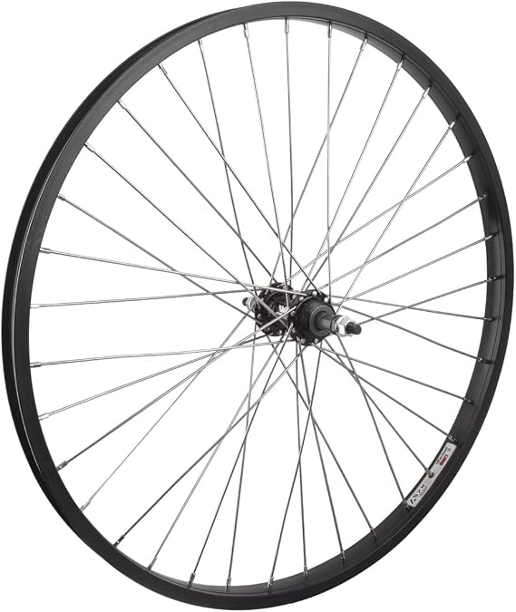 Wheel Rear 26 x 1.75 Black Alloy Cruiser, 3/8 Alloy FW 5-7sp Silver Hub, Bolt On, 12g SS Spokes, 36H