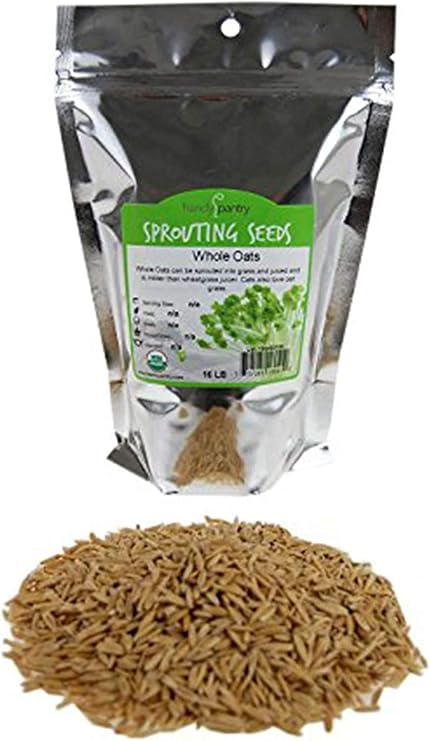 Handy Pantry Organic Whole Oat Grain Seeds With Husk Intact 1 Lb Non-GMO
