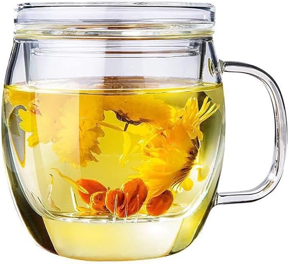 Glass Tea Cup with Infuser and Lid, 17 oz Clear Loose Leaf Tea Infuser Mug