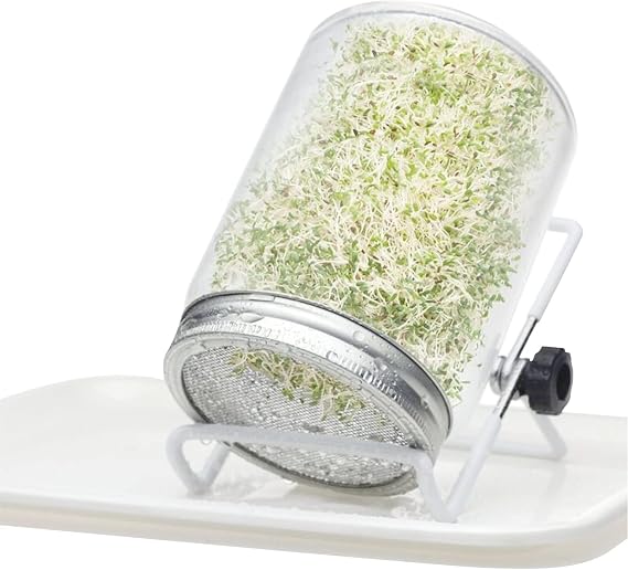 Sprouting Jar Kit, Sprouting Seeds Jar Kit with 1 Wide Mouth Mason Jars, Bean Sprouts Growing Kit, Stands Shading Cloths and Tray for Sprouting Seeds Broccoli Beans(Bar combination)