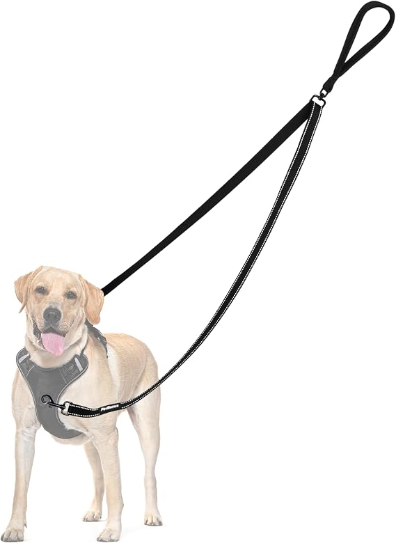 PetBonus Two Point Control Dog Leash, No Tangle Training Walking Leashes | Soft Padded Handle, Reflective, Works with No Pull Harnesses, Converts to Single Lead for Medium Large Dogs, Black