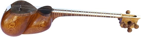 Professional Tar By Dariosh String Musical Instrument DT-304