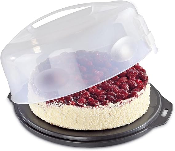 Xavax 00111514 – Container for storing and transporting cakes