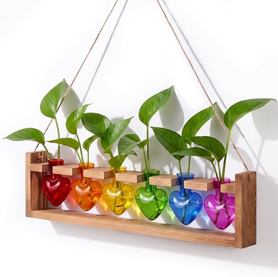 Remerry 6 Rainbow Heart Glass Plant Terrarium Halloween Witch Home Decor