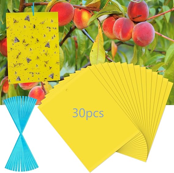 30 Pack Yellow Sticky Traps Fruit Fly Trap, Double-Sided Fungus Gnat Trap